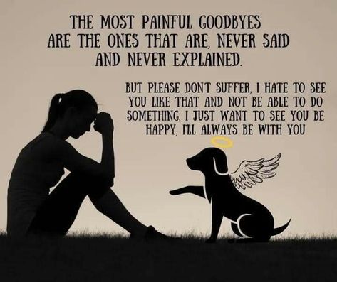 Missing Pets Quotes Dogs, Rest In Peace Dog Quotes Pets, They Still Talk About You Dog Angel, Dog Heaven Painting, Dog Angel Quotes, Lost Dog Quotes, Missing Dog Quotes, Lost Pet Quotes Dogs, Dog Rest In Peace