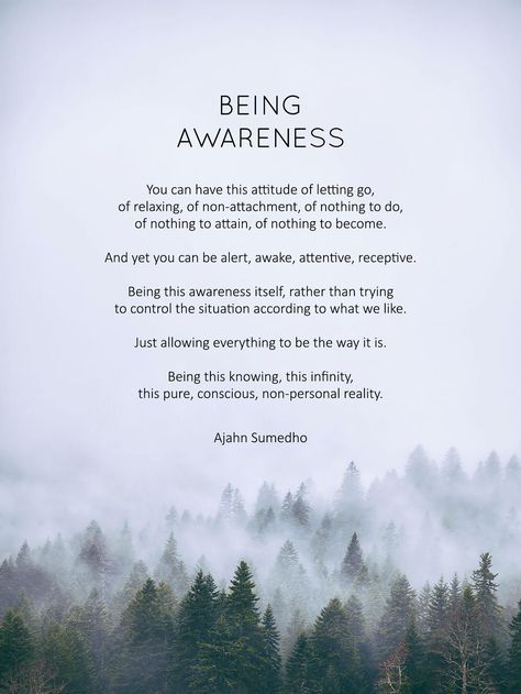 Being Conscious Quotes, Satya Yoga Quotes, Letting Go Yoga Quotes, Acceptance Quotes Letting Go Peace, Letting Go Of Attachment, Non Attachment Quotes, Let Go Of Attachment, Zen Buddhism Quotes, Non Attachment