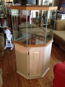 55 Gallon Pentagon Fish Tank w Filter Heater Light Stand Rocks A RARE Find Corner Fish Tank, 120 Gallon Aquarium, 100 Gallon Aquarium, Corner Aquarium, 75 Gallon Aquarium, 55 Gallon Aquarium, 5 Gallon Aquarium, Snake Enclosure, Aquarium Stand