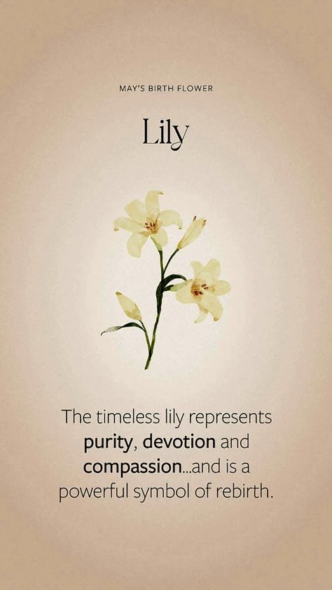 Lily Meaning Flower, Dnd Ingredients, Cherry Blossom Quotes, Flowers Symbolism, Victorian Flower Language, Language Of The Flowers, Lily Meaning, Plant Symbolism, Blossom Quotes