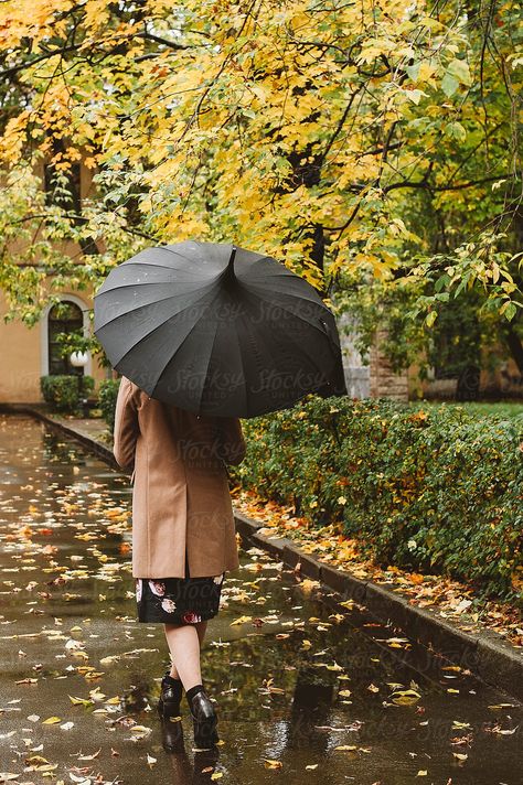 Walking With Umbrella, Autumn Umbrella, People With Umbrellas, Woman Umbrella, Umbrella Photoshoot, Woman With Umbrella, October Days, Big Umbrella, Umbrella Photo