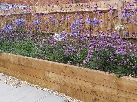 Raised Beds Patio, Raised Border Gardens Along Fence, Raised Timber Garden Beds, Sleeper Raised Beds Garden Edging, Wooden Flower Bed Borders, Raised Flower Bed Against House, Raised Bed Along Fence Line, Patio Raised Beds, Lavender Raised Garden Bed