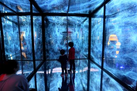 San Diego To Do, Cube Installation, Ocean Planet, Birch Aquarium, Infinity Cube, La Jolla California, San Diego Travel, Art Articles, Hawaii Usa