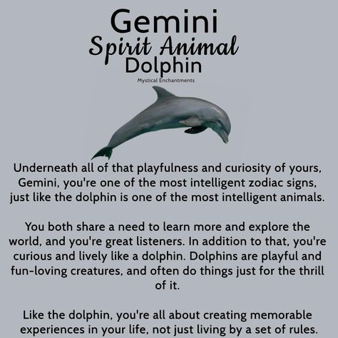 Gemini Spirit Animal, Animals Meaning, Animal Totem Spirit Guides, Zodiac Signs Animals, June Gemini, Gemini Zodiac Quotes, Spirit Animal Meaning, Gemini Traits, Gemini Birthday