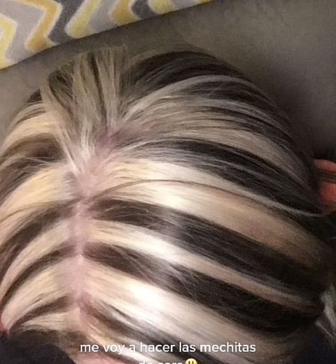 Blonde Chunky Highlights On Brown Hair, Y2k Highlights Hair, Chunky Blonde Highlights, Skunk Hair, Blonde Streaks, Y2k Hairstyles, Hair Color Streaks, Hair Streaks, Dyed Hair Inspiration