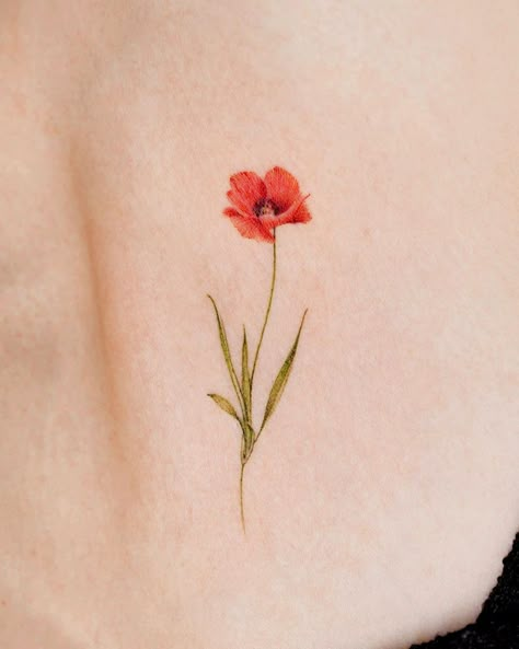 Small Poppy Tattoo Simple, Poppy Tattoo Flower, Tiny Poppy Flower Tattoo, Poppy Flower Back Tattoo, Poppy Flower Tattoo Color, Poppy Tattoo Color, Red Poppy Flower Tattoo, Golden Poppy Tattoo, Tiny Poppy Tattoo