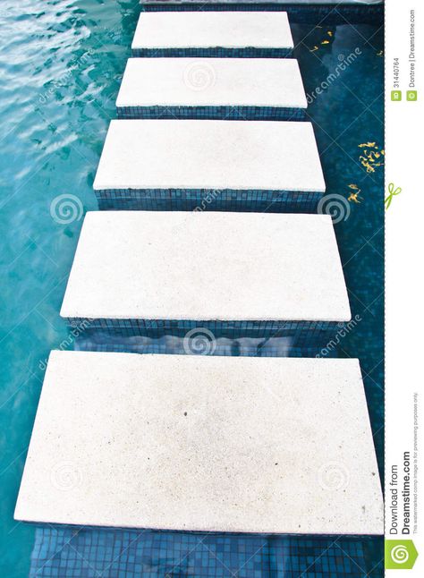 Pool Steps, Swimming Pool Spa, Indoor Pool, Spa Pool, Google Images, Stepping Stones, Favorite Color, Swimming Pools, Contemporary Rug