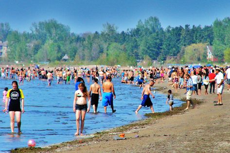 Wasaga Beach really doesn't want you to visit | blogTO Water Tips, Visiting Niagara Falls, Ontario Parks, Wasaga Beach, Hiking Places, Toronto Travel, Visit Canada, Unique Beach, Beaches In The World