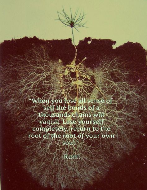 Sense Of Self, Love Truths, Lose Yourself, Lost Soul, Rumi, Losing You, Sense, Inspirational Quotes, Lost