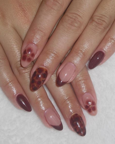 some tortoise design inspo for your feed 🍁🍂✨ - - - #fallnails #fallnailinspo #fallvibes #nailtech #nailart #nailsnailsnails #naildesigns #tortoiseinspo #trendy #fyp #explorepage #nailtrends #diy #dnd #gelx #beginnernailtech #apres #gelpolish #brownnailinspo #cheetahprint #y2k #y2knails #nailart @dndgel @apresnailofficial @beetlesgelpolish Cherry Tortoise Nails, Tortoise Nail Design, Red Tortoise Shell Nails, Tortoise Nails Design, Tortishell Nails Design, Tortoise Nail, Tortoise Nails, Tortoise Design, Y2k Nails