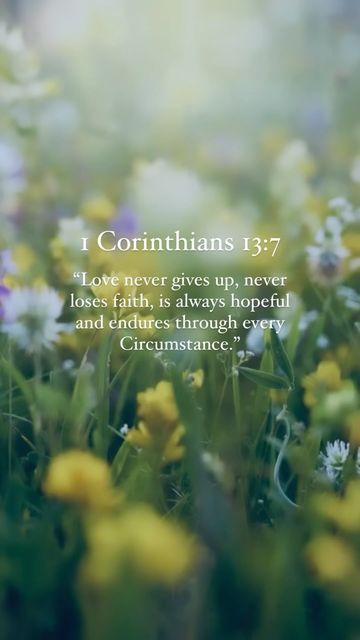 Joy Peace Love, Conscious Mind, Praise Worship, Scripture Of The Day, Crazy Ideas, 1 Corinthians 13, Good Prayers, Daily Verses, Biblical Verses