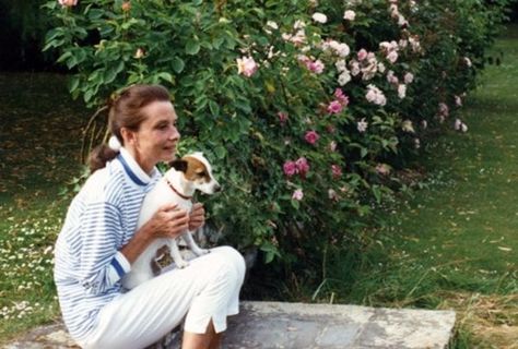 Audrey Hepburn Facts Audrey Hepburn Photos, Audrey Hepburn Style, Bette Midler, Hepburn Style, Russell Terrier, Jack Russell Terrier, Audrey Hepburn, Jack Russell, Celebrities Male