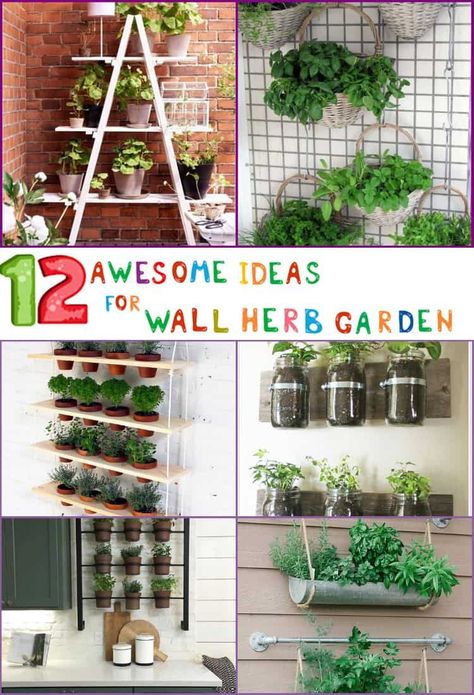 12 Awesome Ideas For Wall Herb Garden | The Rex Garden Wall Herb Gardens, Wall Herb Garden, Best Flowers For Bees, Vertical Herb Gardens, Herb Garden Wall, Small Inground Pool, Herb Garden Pots, Tomato Trellis, Herb Wall