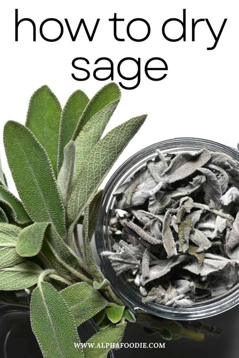 How to dry sage at home with one of 4 methods: dehydrator, oven, microwave, or air drying - so you never run out when needed. Plus, how to store and use dried sage! Dehydrate Herbs In Oven, Dry Sage Leaves, Dehydrating Sage In Dehydrator, How To Dry Basil Leaves In Dehydrator, Drying Basil Leaves Dehydrator, Dry Sage, Drying Fresh Herbs, Dried Sage, Food Tutorials