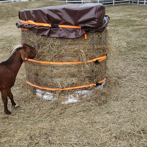 Round Bale Feeder For Horses, Goat Round Bale Hay Feeder, Diy Goat Feeder Grain, Diy Round Bale Feeder, Diy Hay Feeder, Sheep Feeders, Round Bale Feeder, Goat Hay Feeder, Feeder Cattle