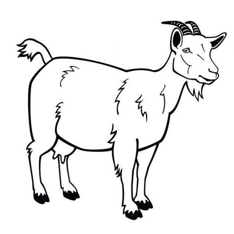 Goat Black And White, Goat Clipart, Goat Picture, Outline Pictures, Sheep Cartoon, Goat Art, Animal Templates, Goats Funny, Clip Art Library