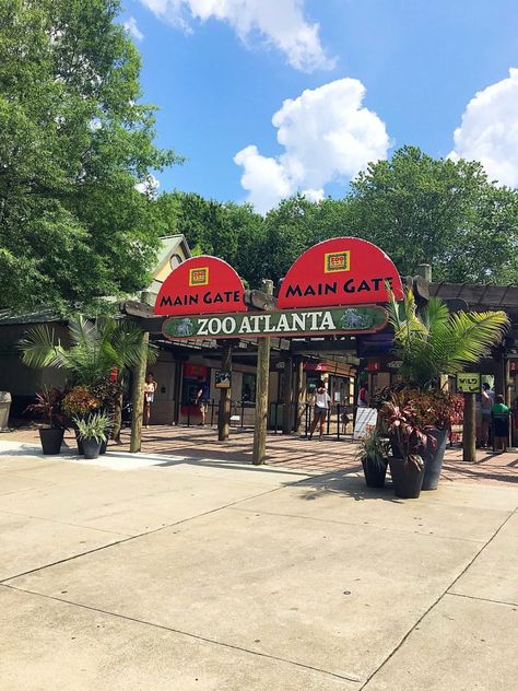 Heading to Zoo Atlanta? Then check out my Smart Tips for Visiting Zoo Atlanta with helpful tips like the best time to visit, ways to save money on tickets, parking tips, and more!  #zooatlanta #atlantageorgia #familyvacation Best Family Christmas Movies, Parking Tips, Zoo Atlanta, Family Christmas Movies, Zoo Park, Zoo Wedding, Outside Activities, Chicago Travel, Chicago Restaurants