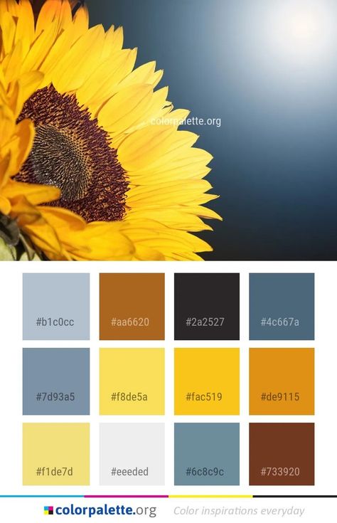 Possible wall colors Sunflower Yellow Color, Seeds Color Palette, Shades Of Yellow Color, Graphics Design Inspiration, Yellow Color Palette, Yellow Paint Colors, Yellow Photography, Yellow Palette, Seeds Color