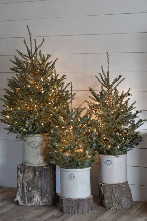 Rustic Christmas Trees in Old Crocks for that Farmhouse, Country, Primitive Decorating Style. Film Decor, Country Christmas Trees, Country Christmas Decorations, Christmas Porch Decor, Rustic Christmas Tree, Christmas Style, Christmas Porch, Christmas Decorations Rustic, Farmhouse Christmas Decor