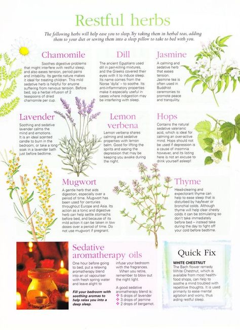 8 herbs to keep on hand when restful nights are not so restful. Plus some extra tid-bits to keep close as hand. Herbs For Calmness, Herbal Medicine List, Sleeping Herbs, Herbs And Their Uses, Calming Herbs, Herbs For Sleep, Medical Herbs, Essential Oils Herbs, Herbal Apothecary