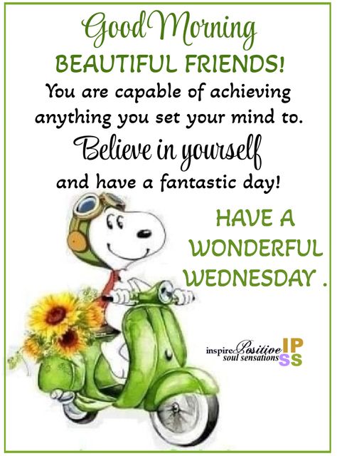 Have A Wonderful Wednesday, Wednesday Morning Quotes, Wednesday Greetings, Good Morning Dear Friend, Good Wednesday, Good Morning Wednesday, Have A Fantastic Day, Happy Wednesday Quotes, Happy Birthday Wishes Photos