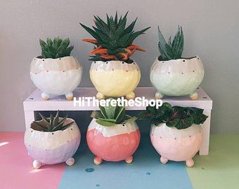 Plant Pot Ceramic, Succulent Bowls, Mini Plant Pots, Handmade Ceramic Planters, Pastel Home Decor, Plant Art Print, Pot Ceramic, Cactus Pot, Flower Pots Outdoor