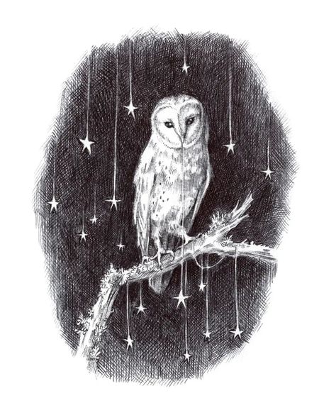 Hello again everyone 😊 Here's my piece 'Nocturne' for you. This is available now as a limited edition print, head on over for the details,… | Instagram Adam Oehlers, Barn Owl Tattoo, Winter Drawings, Owl Illustration, Winter Illustration, Owls Drawing, Owl Tattoo, Vintage Owl, Owl Art