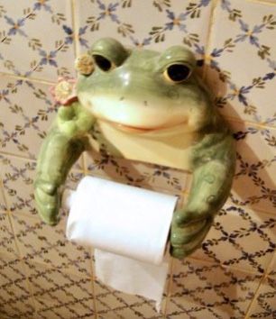 Diy Paper Holder, Frog Toilet Paper Holder, Toilet Paper Holder Ideas, Frog Toilet, Frog Items, Frog Bathroom, Frog Pics, Diy Toilet Paper Holder, Diy Toilet Paper