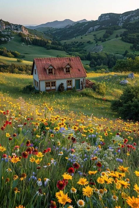 Vermont Countryside, Cabin In The Mountains, Cottage Aesthetic, Dream Life House, Pretty Landscapes, Dream Cottage, Cottage Life, My Dream House, Nature Aesthetic