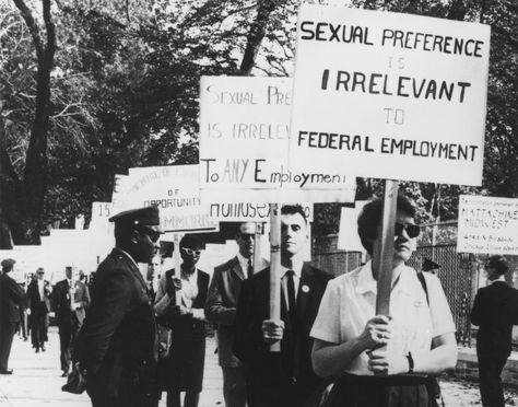 College Student Organization, Stonewall Uprising, Gay Rights Movement, Harvey Milk, Gay History, Lgbtq Rights, Gender Nonconforming, Social Organization, History Professor