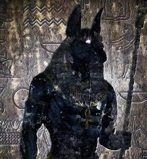 Pharoah Aesthetic, Dark Egyptian Aesthetic, Anubis Pfp, Egyptian God Aesthetic, Cyno Aesthetic, Moon Knight Oc, Anubis Aesthetic, Sekhmet Goddess, Mythology Egyptian