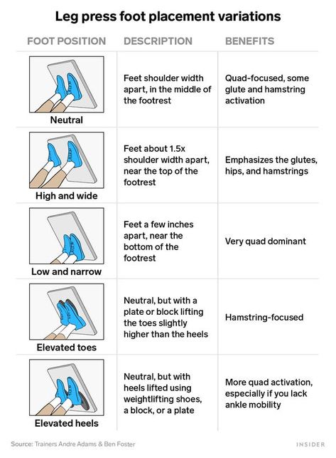 Leg Press Workout, Hamstring Muscles, Dumbbell Squat, Quads And Hamstrings, Leg Press Machine, Lower Body Muscles, Weight Lifting Shoes, Major Muscles, Leg Press