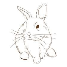 Sitting Down Sketch, Bunny Sitting, Sketch Reference, Pet Bunny Rabbits, Bunny Drawing, Pet Bunny, Bunny Rabbits, Pin Logo, Drawing Images