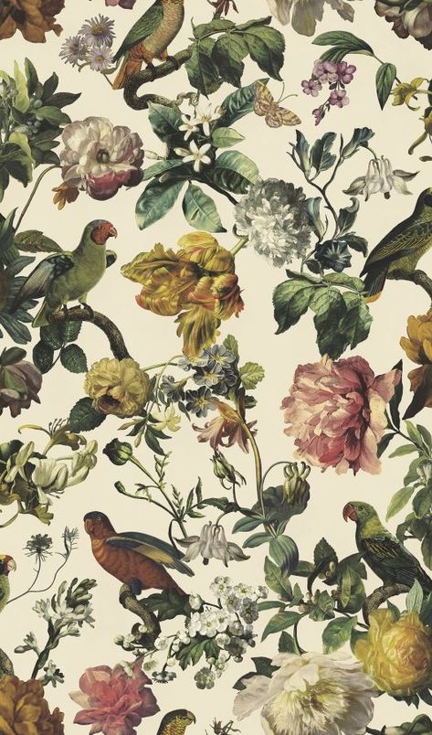 Museum kuitutapetti - 307301 - Museum - EIJFFINGER - Tapettimallit - Tapettitaivas Oy Hello Wallpaper, Parakeet Bird, Brewster Wallpaper, Cream Wallpaper, Bird Wallpaper, Pip Studio, Botanical Wallpaper, Rich Color Palette, Flowers Wallpaper