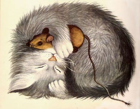 Garth Williams Garth Williams, Cat Art Illustration, Image Chat, A Rat, Art Et Illustration, Cats Illustration, Arte Animal, Art And Illustration, Cat Painting