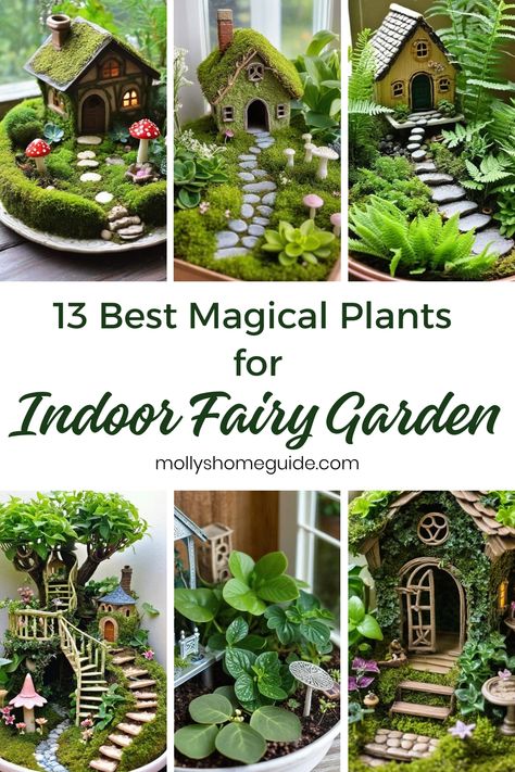 Looking to create a magical indoor fairy garden? Discover the best plants for indoor fairy gardens! These unique herb garden ideas will transform your space into a whimsical sanctuary. Learn about Fairy garden plants that thrive indoors and get inspired by DIY fairy garden ideas. With the right Indoor fairy garden plants, you can create beautiful miniature gardens in containers. Seeking Spider plant care tips? Explore our guide on how to care for these lovely plants. Real Fairy Garden, Diy Fairy Garden Ideas Indoor, Aquarium Fairy Garden, Fairy Garden Balcony, Woodland Fairy Garden, Indoor Butterfly Garden, Fairy Terrarium Ideas, Indoor Fairy Garden Ideas, Fairy Garden In A Pot