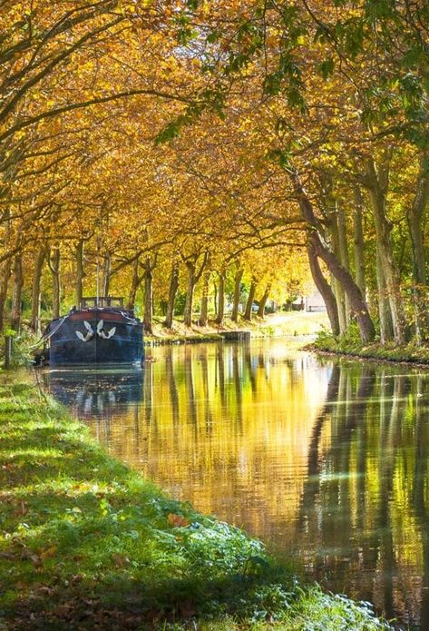 Canal Du Midi, Toulouse