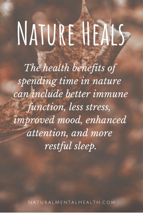 The health benefits of spending time in nature can include better immune function, less stress, improved mood, enhanced attention, and more restful sleep. NaturalMentalHealth.com Natural Healing Quotes, Healing Quotes Health, Nature Benefits, Medicine Quotes, Christian Meditation, Naturopathic Medicine, About Quotes, Mental Health Resources, Improve Mood