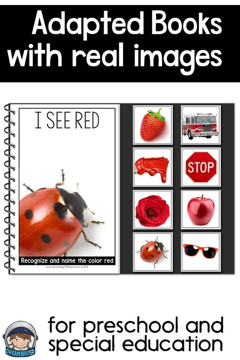 Coil bound Adapted book with a lady bug on the title page and 8 tiles of objects that are red: strawberry, fire truck, paint, stop sign, rose, apple, ladybug and sunglasses. Adaptive Books Preschool, Adaptive Books Special Education Free, Free Adapted Books For Special Education, Preschool Special Education Activities, Special Education Preschool Activities, Special Ed Preschool, Sped Preschool, Special Education Preschool Classroom, Preschool Color Theme