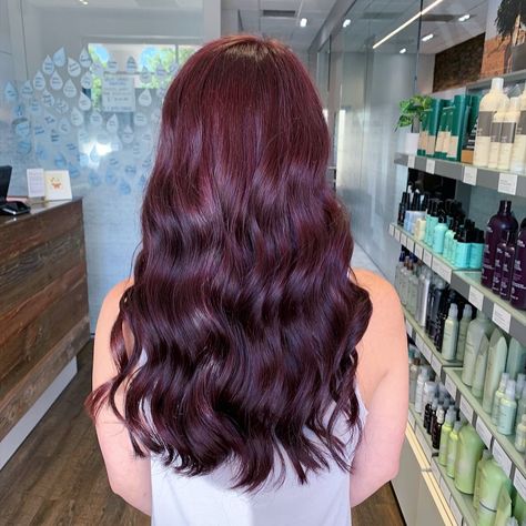 Cranberry Purple Hair, Berry Brown Hair Color Purple, Berry Plum Hair Color, Glossy Plum Hair, Bergandi Color Hair, Berry Hair Color Plum, Dark Berry Hair, Berry Colored Hair, Berry Red Hair Color