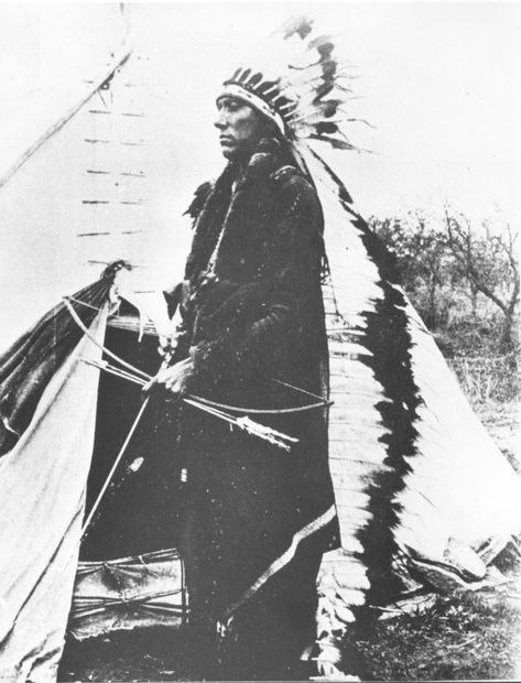 Comanche Indians, Quanah Parker, Summer Moon, Native American Totem, American Indian History, Native Pride, Indian Pictures, Native American Pictures, Indian Headdress