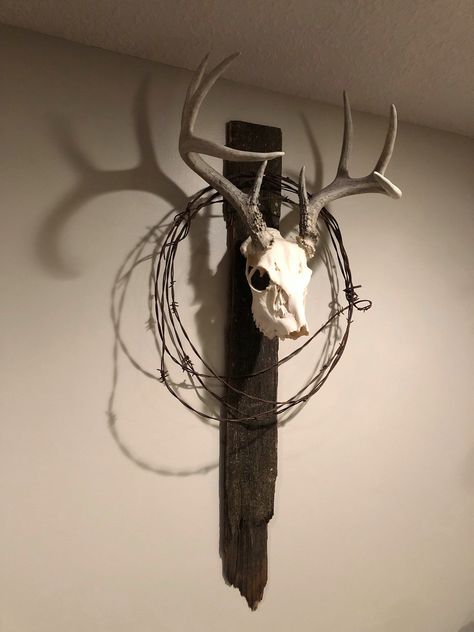 "Real Antler Rack Decoration w/ Barn Wood & Barbed Wire- CUSTOM- Rustic Real Minnesota (USA) Barn Wood, & Reclaimed Barbed Wire from a Fence on the Farm Unique, One of a Kind (From a real deer- Real Deer Antlers) Approx: 36\" Tall Approx: 21\" Wide Please feel free to reach out with questions- M.H." European Head Mount, Display Deer Antlers, Diy Antler Projects, Antler Display Ideas, Deer Horn Decor, European Deer Mount Ideas, Decorating With Deer Mounts, Deer Skull Wall Mount, Skull Mount Ideas