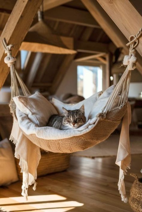 25 DIY Cat Hammock [Make Within Minutes] – craftydiyers.com House Hammock, Diy Window Cat Perch, Ceiling Cat Bed, Pet Hammock Diy, Cat Stuff Diy, Diy Cat Hammock Easy, Cat Hammock Diy, Diy Cat Room, Cat Playground Indoor Diy