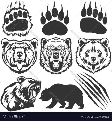 Grizzly Bear Drawing, Scratch Tattoo, Bear Paw Tattoos, Bear Footprint, Claw Tattoo, Paw Drawing, Bear Paw Print, Paw Tattoo, Bear Tattoos