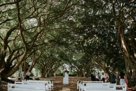 Lush Queensland Forest Wedding at Buderim Wirreanda Park Forest Ceremony, Best Wedding Destinations, Wedding Destinations, Australia Vacation, Airlie Beach, Tent Reception, Australia Wedding, Applique Wedding, Woodland Decor