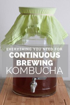 Continuous Brew Kombucha, Brewing Kombucha, Cranberry Kombucha, Kefir Water, Kombucha Flavors, Kombucha Scoby, How To Brew Kombucha, Homemade Kombucha, Kombucha Recipe