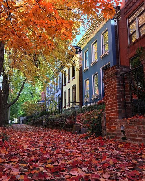 St. Louis on Instagram: “Lafayette Square in St. Louis Missouri looks absolutely breathtaking in the colors of fall! 📸: @debfene #explorestlouis” Central West End St Louis, Saint Louis Aesthetic, St Louis Apartment, Federal Architecture, Saint Louis Missouri, Lafayette Square, Southern Architecture, Adventure Seeker, Colors Of Fall