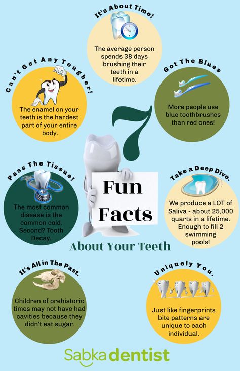 Orthodontic Fun Facts, Dental Myths And Facts, Dental Infographics, Dental Poster, Myth Fact, General Physician, Hygiene School, Dental Assistant Study, Dental Social Media