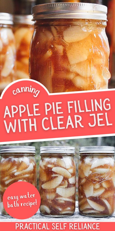 Canning Apple Pie Filling with Clear Jel - There are a lot of apple pie filling recipes for canning, but this apple pie filling recipe is the best you'll find. Water bath canning apple pie filling is so easy to do and means you're always minutes away from a fresh homemade apple pie during the fall season. Simply pour your jar into your favorite crust and bake! Homemade Canned Apple Pie Filling, Apple Pie Filling Water Bath Canning, Canned Apple Pie Filling Without Clear Gel, Best Canned Apple Pie Filling, Apple Pie Filling Canned Recipes, Canning Apple Pie Filling With Clear Jel, Canning Apple Pie Filling Recipe With Clear Jel, Pressure Canning Apple Pie Filling Recipe, Apple Pie Recipe For Canning