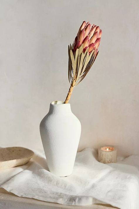 Dried Flowers and Plants | Faux Plants | AnthroLiving Dried Protea, Vine Trellis, Protea Flower, Desert Homes, Plants Flowers, Faux Plants, Live Plants, Dried Flowers, Paper Flowers